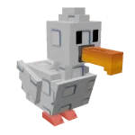 Seagull