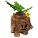 Seedling