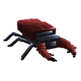 Stag Beetle