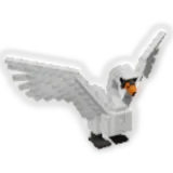 Swan