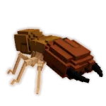Termite