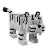 White Tiger