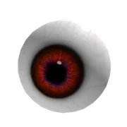 Eyeball