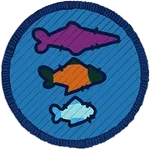 Trophy Fishing
