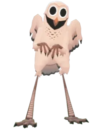 The Owl
