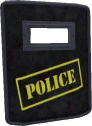 Riot Shield