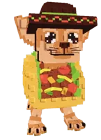 Chihuanini Taconini