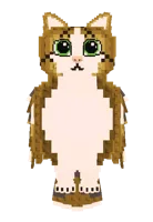 Meowl