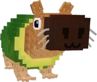 Pipi Avocado