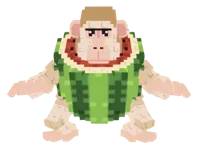 Pipi Watermelon