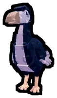 Dodo