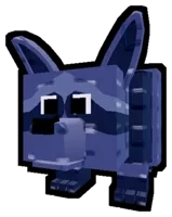 Raccoon