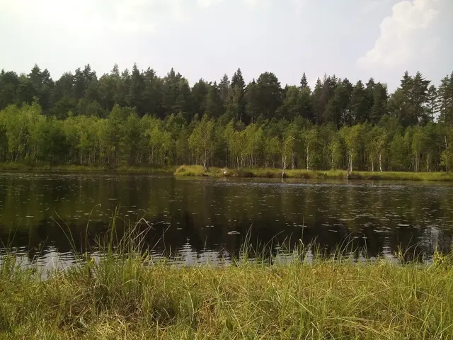 Подмосковье
