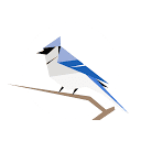 Логотип BirdNET