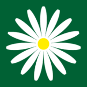Логотип Megaflowers