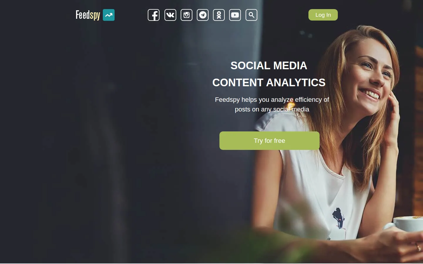 Главная страница сервиса FeedSpy