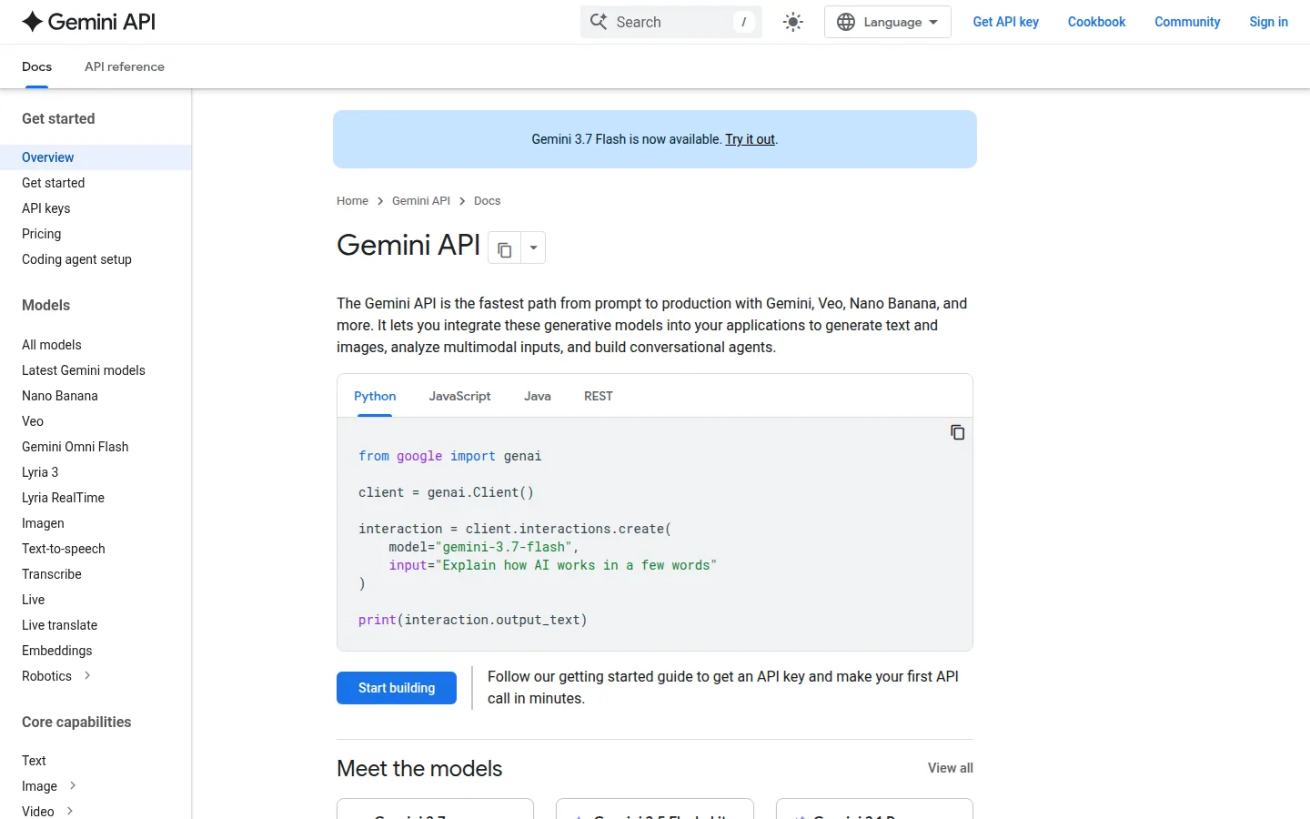 Главная страница сервиса Gemini API