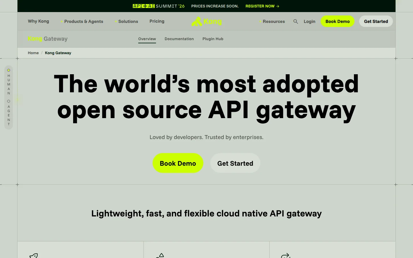Главная страница сервиса Kong Gateway