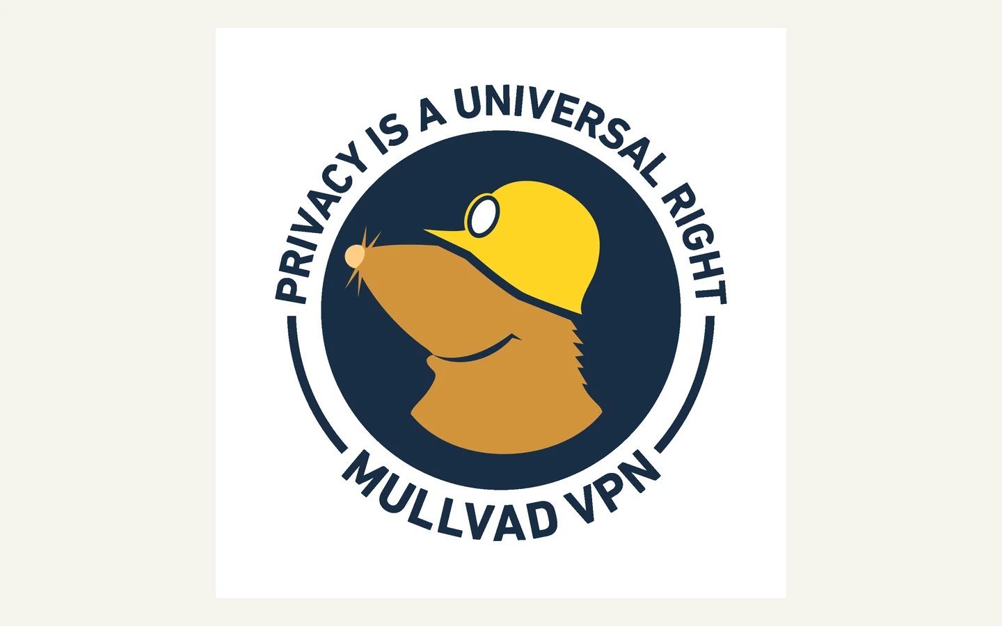 Официальная продуктовая иллюстрация сервиса Mullvad VPN