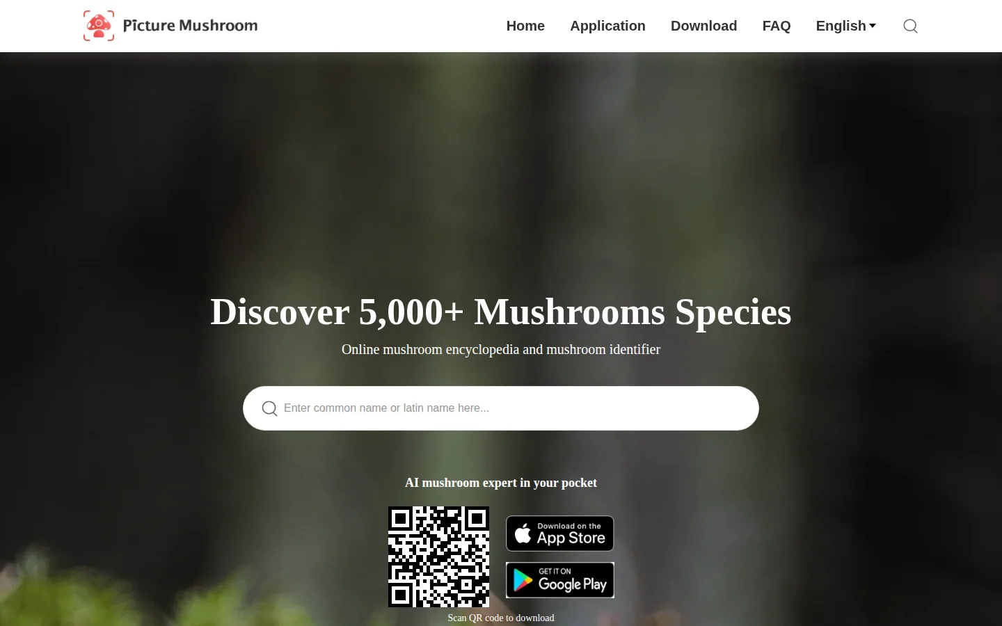 Главная страница сервиса Picture Mushroom