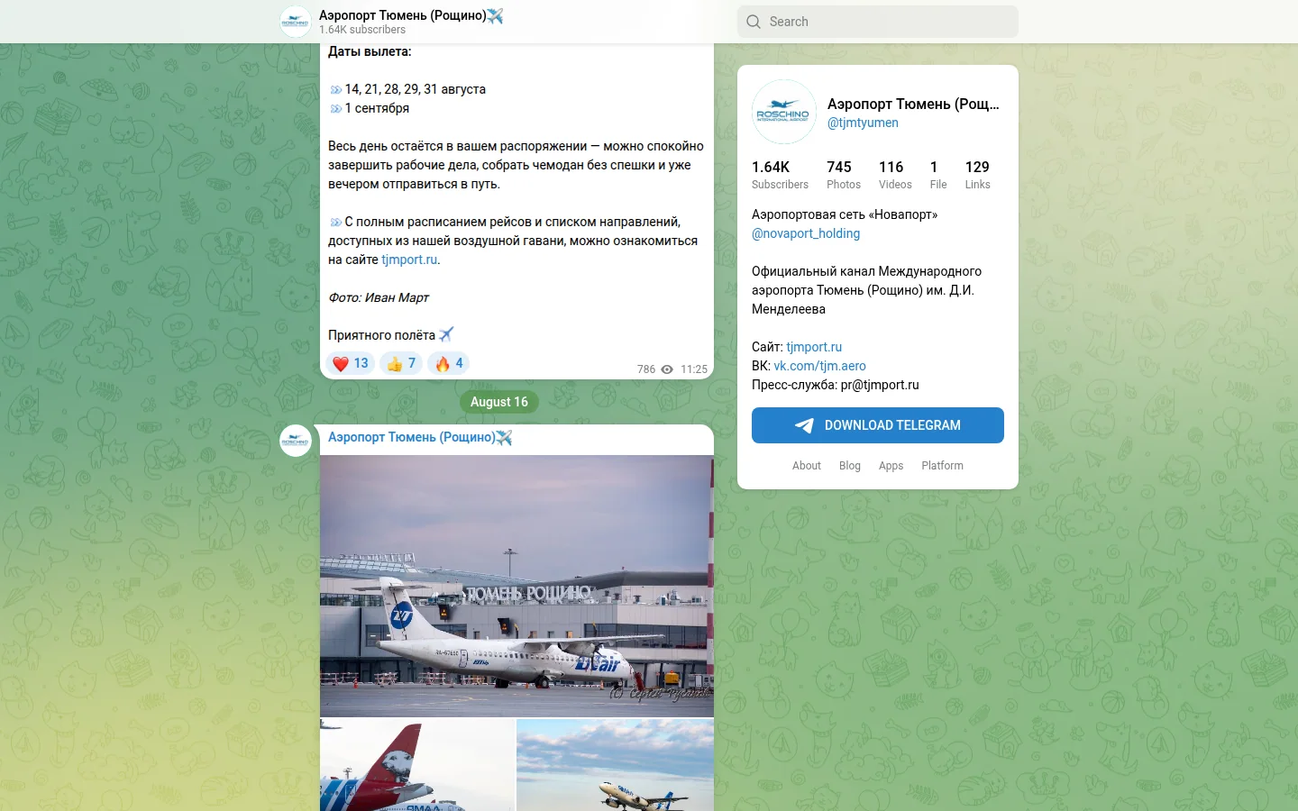 Рощино — дорога и терминал