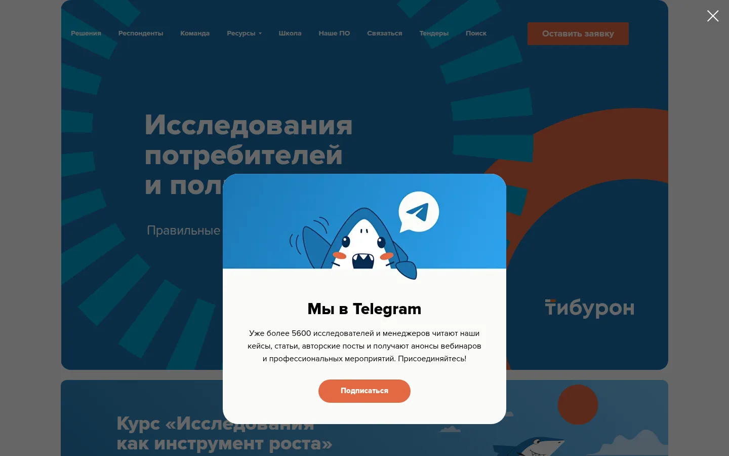 Главная страница сервиса Тибурон