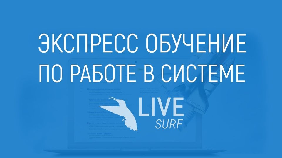 Экспресс обучение по работе в LIVEsurf.ru - продвижение сайта