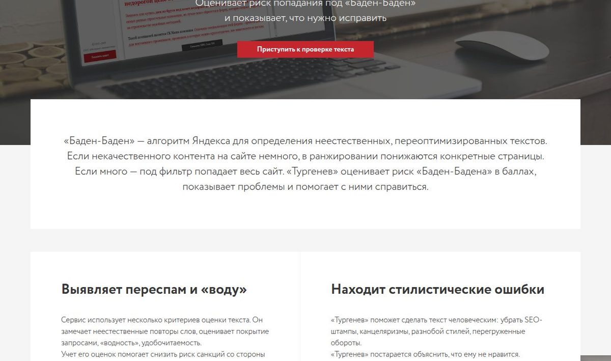 Главная страница сервиса Тургенев