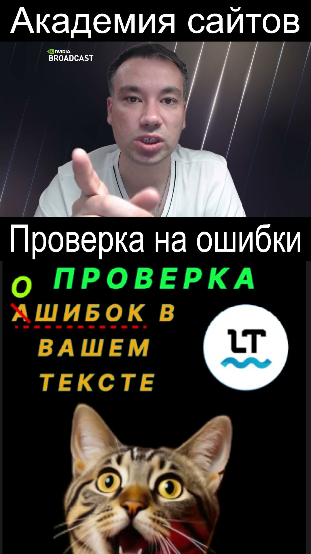 👑 Languagetool - Корректор грамматики и орфографии 2025. Бесплатно