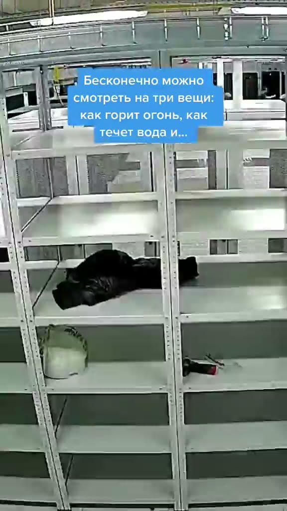 Cтроительство дата-центра REG.RU