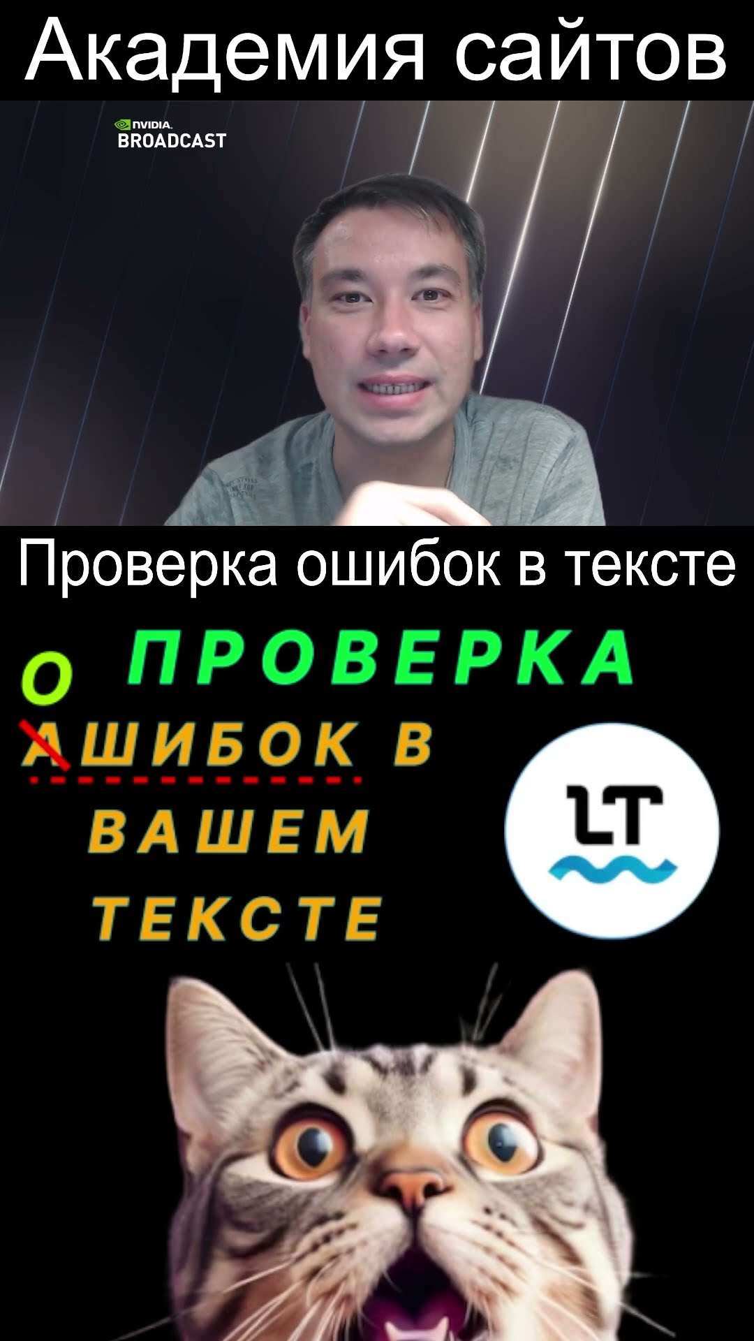 👑 Languagetool - Корректор грамматики и орфографии 2025. Бесплатно