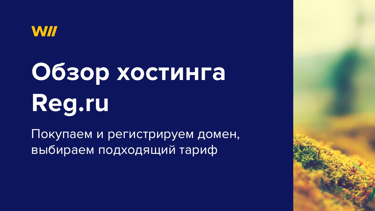 Видео обзор Reg.ru и регистрация домена на нём.